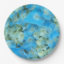 ブルーハイフランスのジゲアフローラ