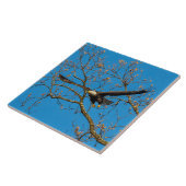 ブルーハゲのワシ タイル (側面)