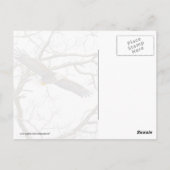 ブルーハゲのワシ ポストカード (裏面)