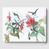 ブルーハミングバードバーズレッドフローラゲストブック ゲストブック (裏面)