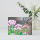 ブルーハミングバード ポストカード (スタンド正面)