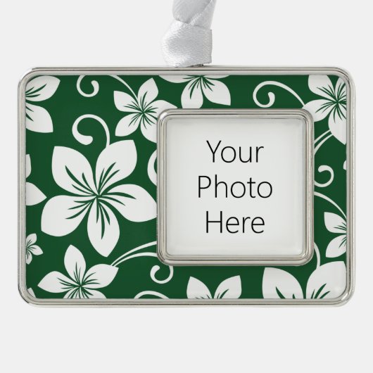 ブルーハワイ（フォレストグリーン） シルバープレートフレームオーナメント (正面)