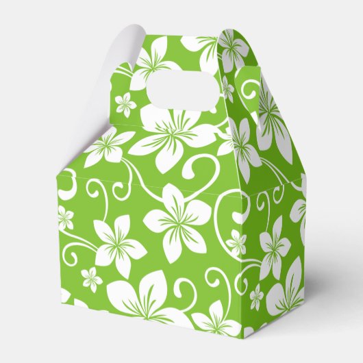 ブルーハワイ(ライム) フェイバーボックス (正面サイド)