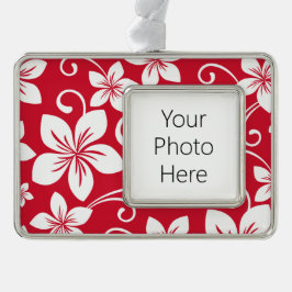 ブルーハワイ（赤） シルバープレートフレームオーナメント