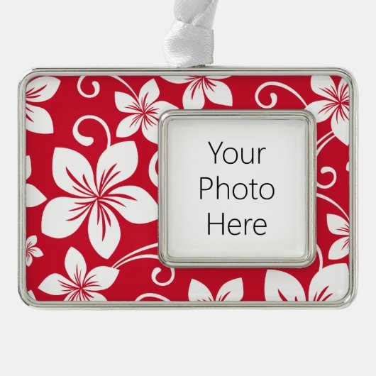ブルーハワイ（赤） シルバープレートフレームオーナメント (正面)