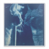 ブルーバお洒落バ猫の写真 シール (正面)