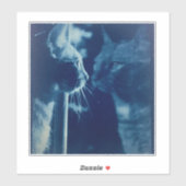 ブルーバお洒落バ猫の写真 シール (シート)