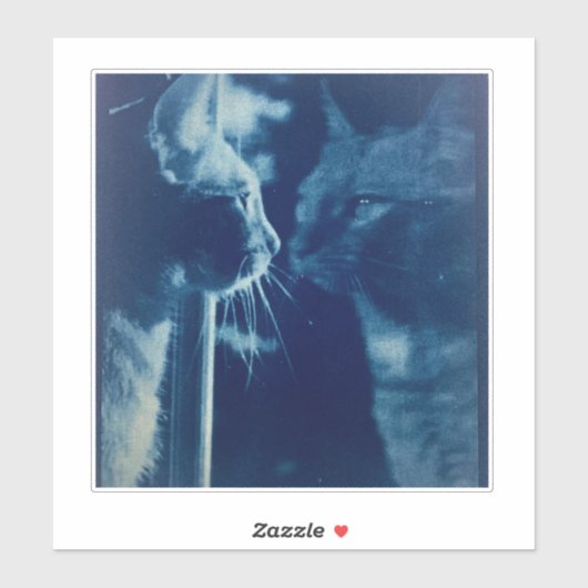 ブルーバお洒落バ猫の写真 シール (シート)