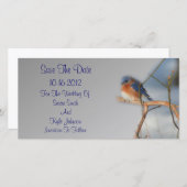 ブルーバかわいらしードズ結婚ーズ セーブザデート (正面/裏面)