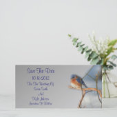 ブルーバかわいらしードズ結婚ーズ セーブザデート (スタンド正面)