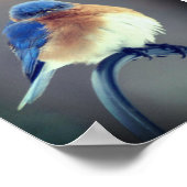 ブルーバはっきりしたード ポスター (角)