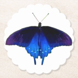 ブルーバタフライコースター(セット6) ペーパーコースター