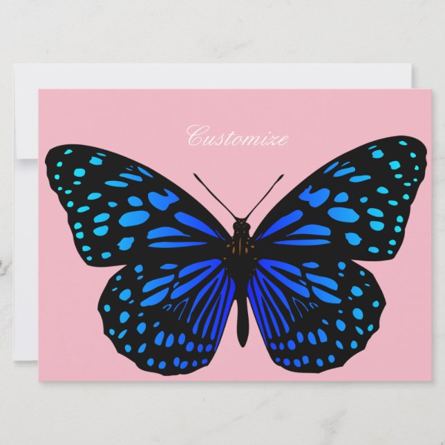 ブルーバタフライサンダー_コーブ (正面)