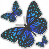 ブルーバタフライサンダー_コーブ シール (正面)