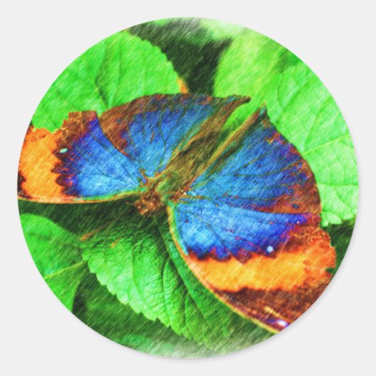 ブルーバタフライペンシャルアート ラウンドシール (正面)