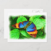 ブルーバタフライペンシル絵葉書 ポストカード (正面/裏面)