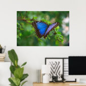 ブルーバタフライポスター ポスター (ホームオフィス)
