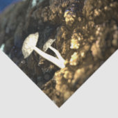 ブルーバタフライランドスケープデコペティッシュペーパー 薄葉紙 (詳細)