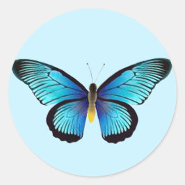 ブルーバタフライ封筒用シール ラウンドシール