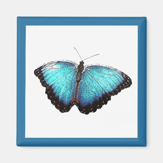 ブルーバタフライ自然アート素晴らしフォトイラストレーション マグネット (正面)