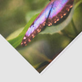 ブルーバタフライ自然クローズアップデコパージュ 薄葉紙 (詳細)