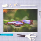 ブルーバタフライ自然クローズアップデコパージュ 薄葉紙 (クラフト)