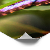 ブルーバタフライ自然クローズアップ色 ポスター (角)