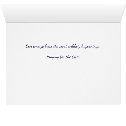 ブルーバタフライ (内部横(下))