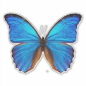 ブルーバタフライ2 シール (正面)
