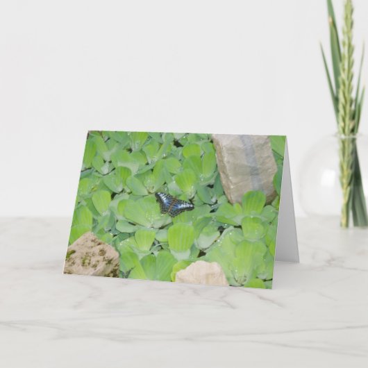 「ブルーバタフライ」イースターカード カード (正面)