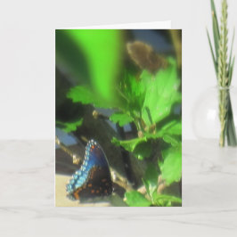 ブルーバタフライ カード