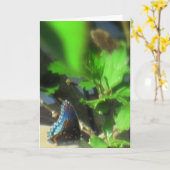 ブルーバタフライ カード (黄色い花)