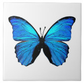ブルーバタフライ タイル (正面)