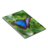ブルーバタフライ ノートブック (右側)