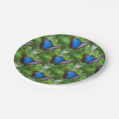 ブルーバタフライ ペーパープレート (アングル)
