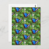 ブルーバタフライ ポストカード (正面/裏面)