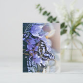 ブルーバタフライ ポストカード (スタンド正面)