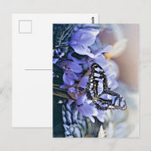 ブルーバタフライ ポストカード (正面/裏面)