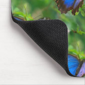 ブルーバタフライ マウスパッド (コーナー)
