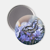 ブルーバタフライ マグネット (正面/裏面)