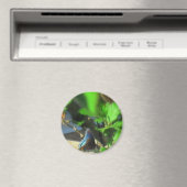 ブルーバタフライ マグネット (インサイチュ (食洗機))