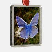 ブルーバタフライ メタルオーナメント (右)