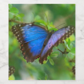 ブルーバタフライ ワインラベル (シングルラベル)