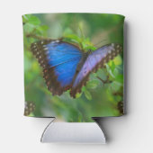 ブルーバタフライ 缶クーラー (裏面)
