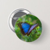 ブルーバタフライ 缶バッジ (正面&裏面)