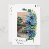 ブルーバチェラーズボタン誕生日 ポストカード (正面/裏面)