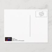 ブルーバッキンガム噴水 ポストカード (裏面)