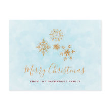 ブルーバックの金霜の降りたのスノーフレーク結晶