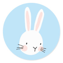 ブルーバニーカスタム