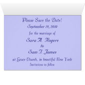 ブルーバラデライト (内部横(下))